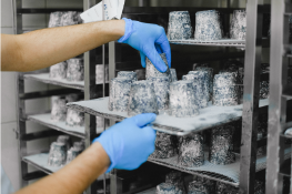 Raw materials sampling