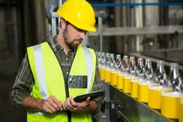 What Is During Production Inspection?